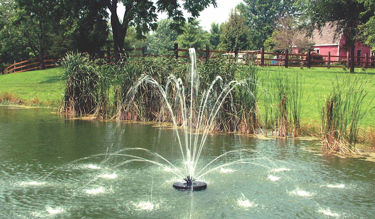 The Best Water Pumps For Ponds